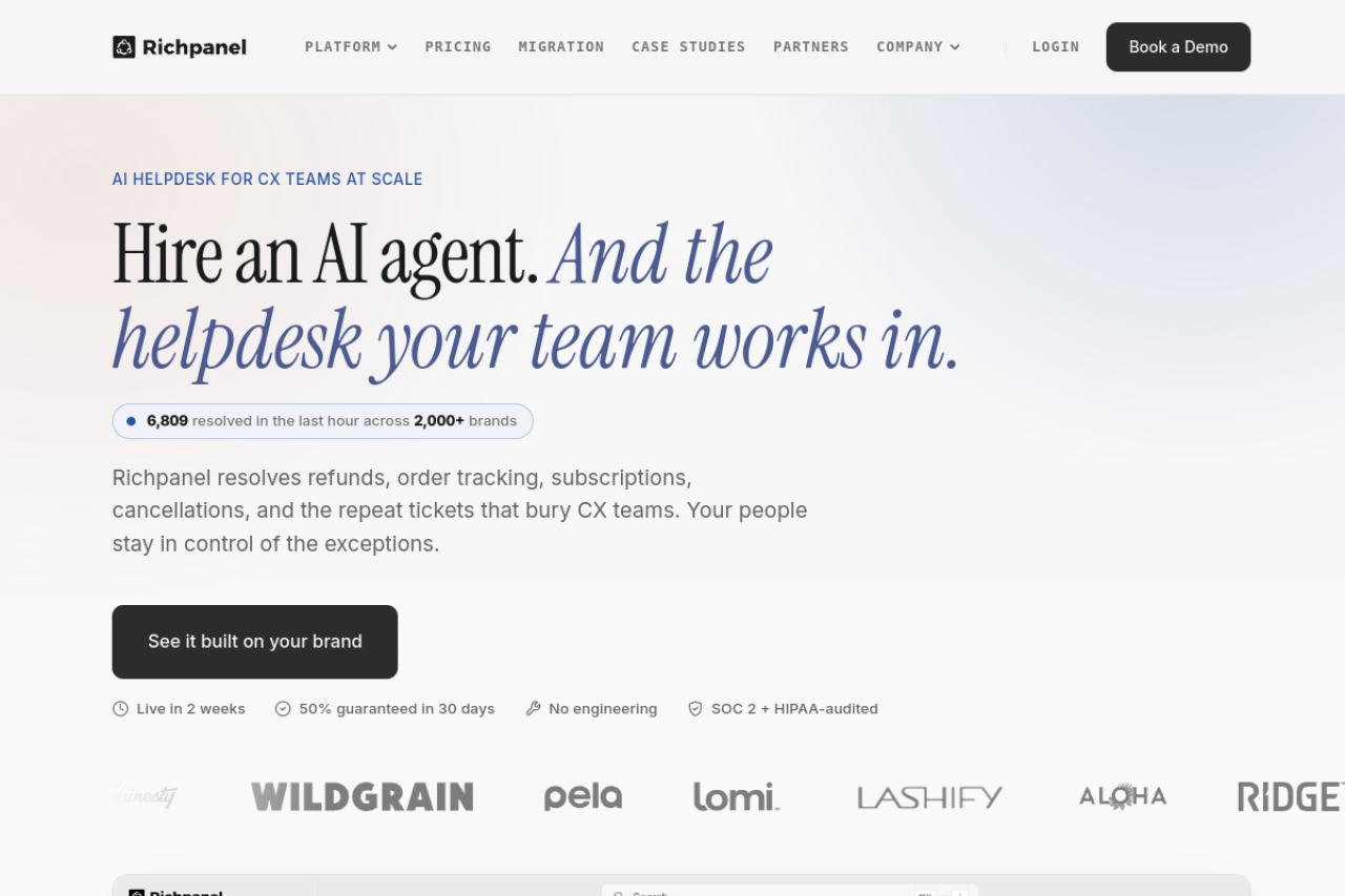 Richpanel website screenshot