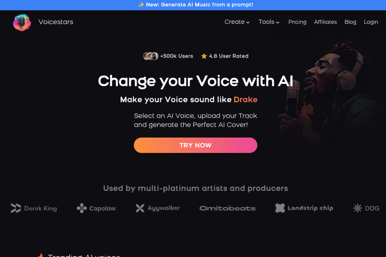 Voicestars website screenshot