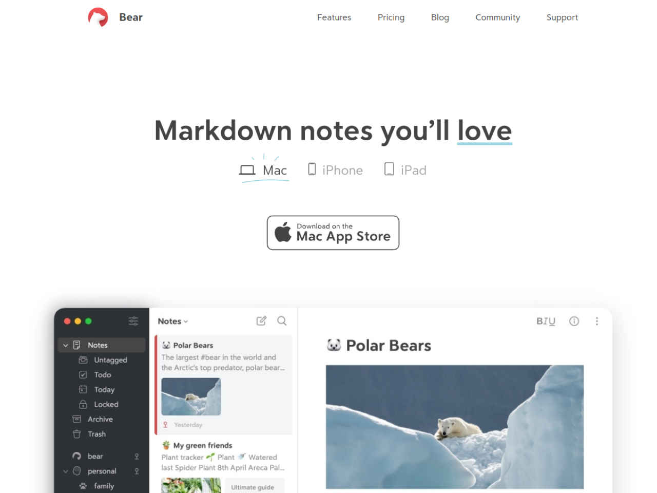 Bear screenshot 1