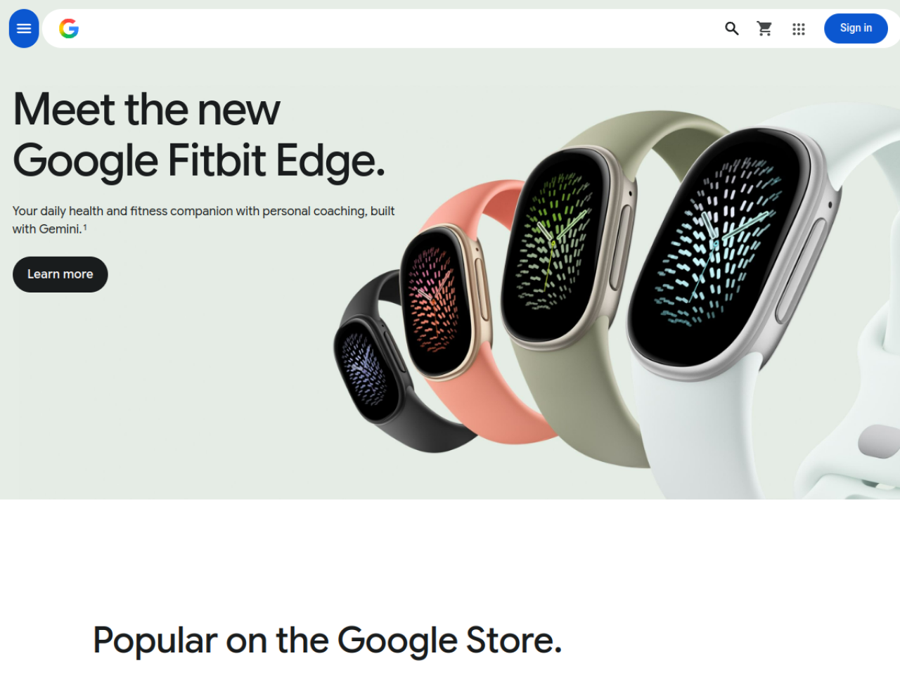 Google Store 웹사이트 스크린샷