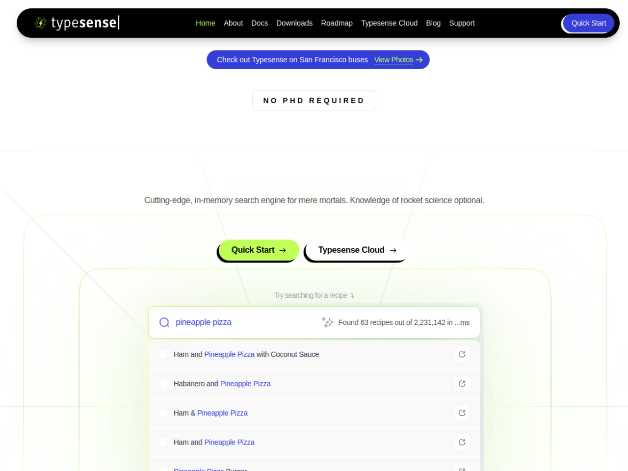 Typesense screenshot 1