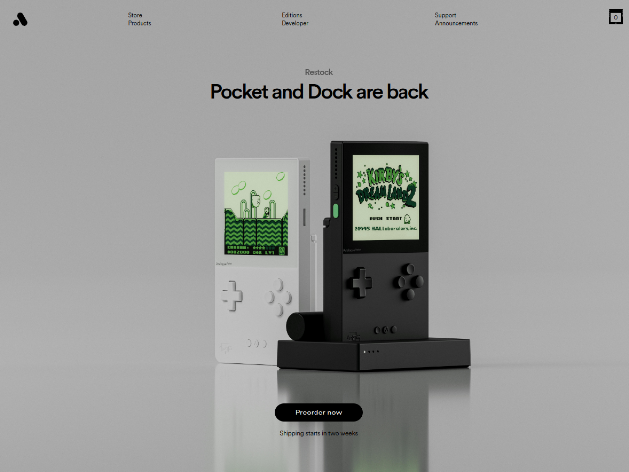 Analogue Pocket 웹사이트 스크린샷