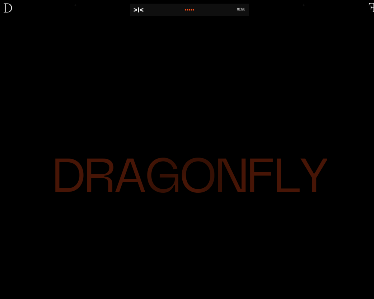 Dragonfly