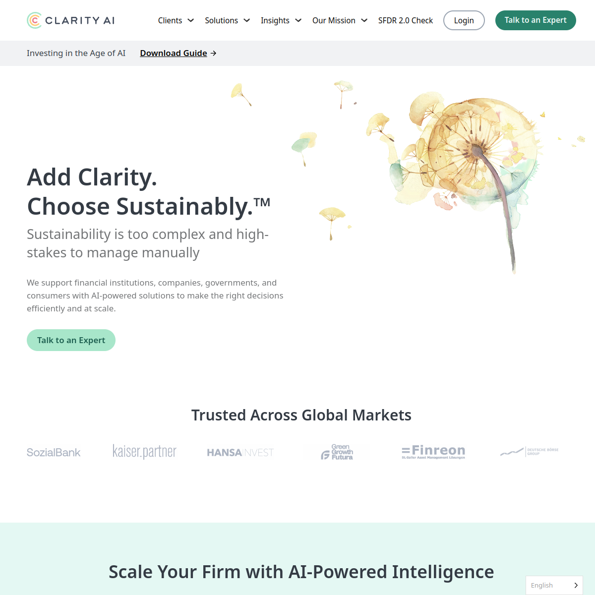 Clarity AI screenshot 2