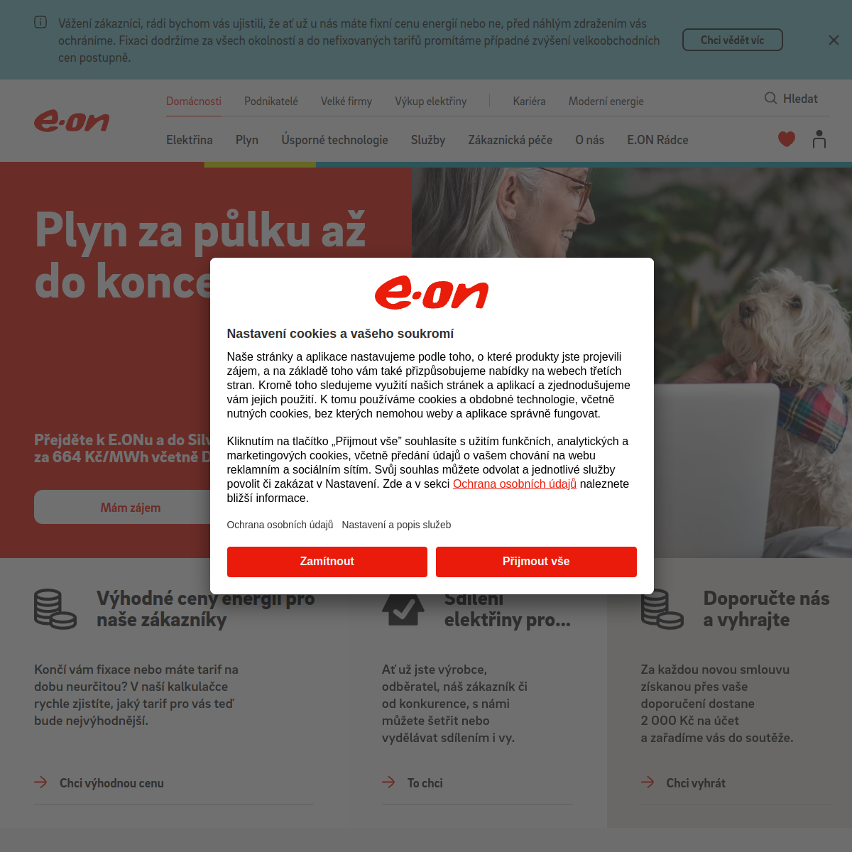 E.ON website