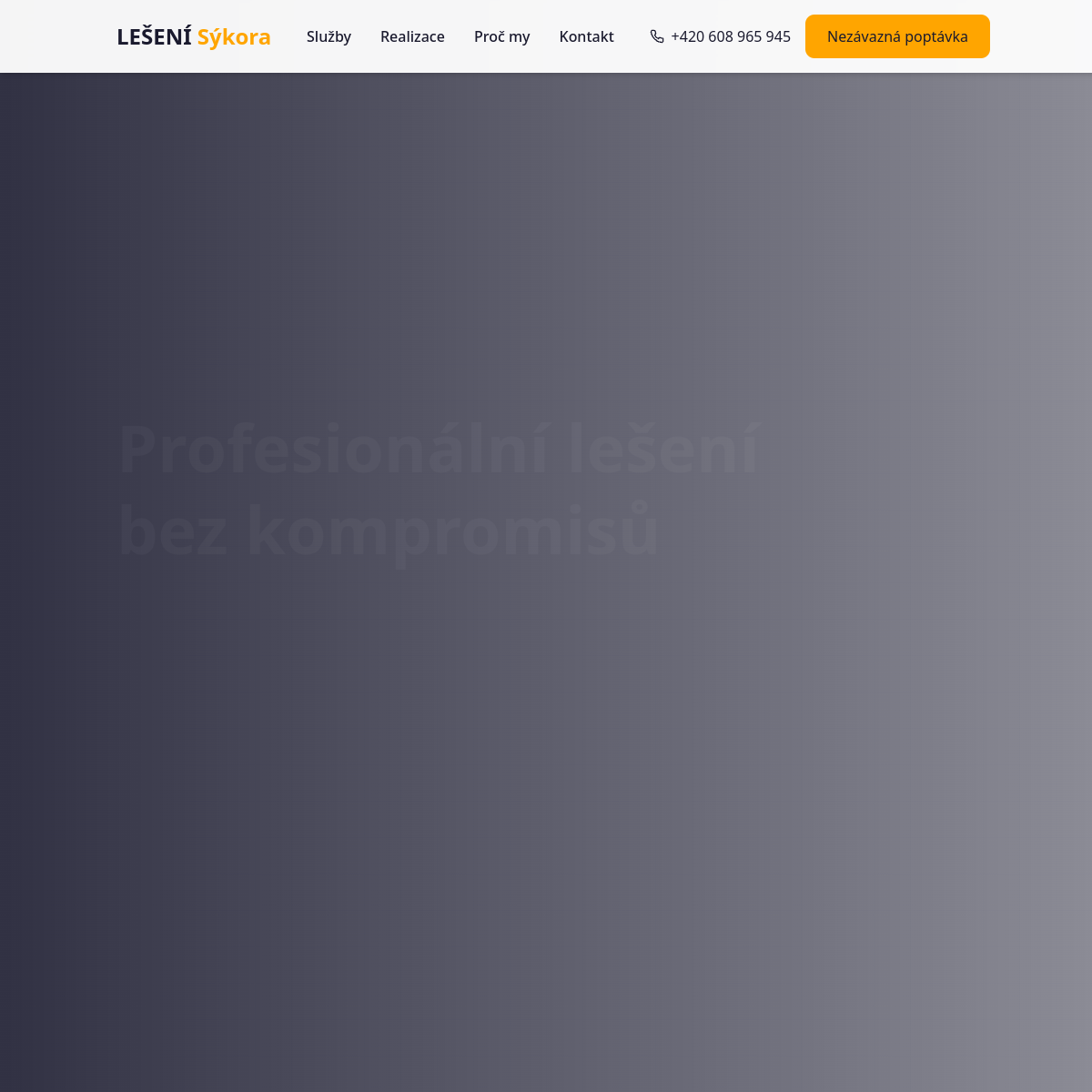 LEŠENÍ Sýkora s.r.o. website