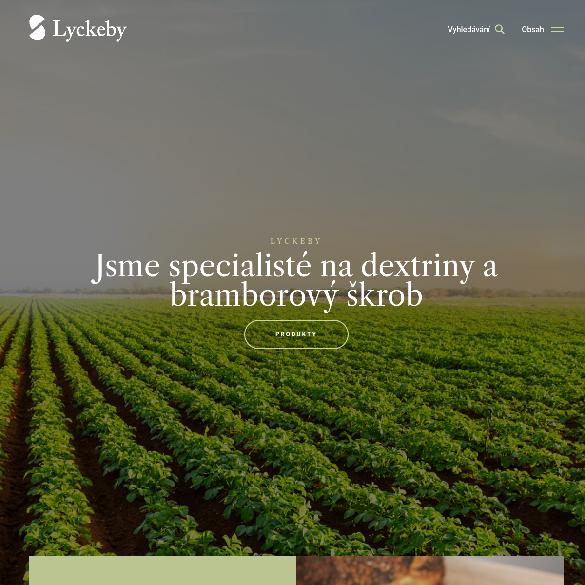 LYCKEBY AMYLEX, a.s. website