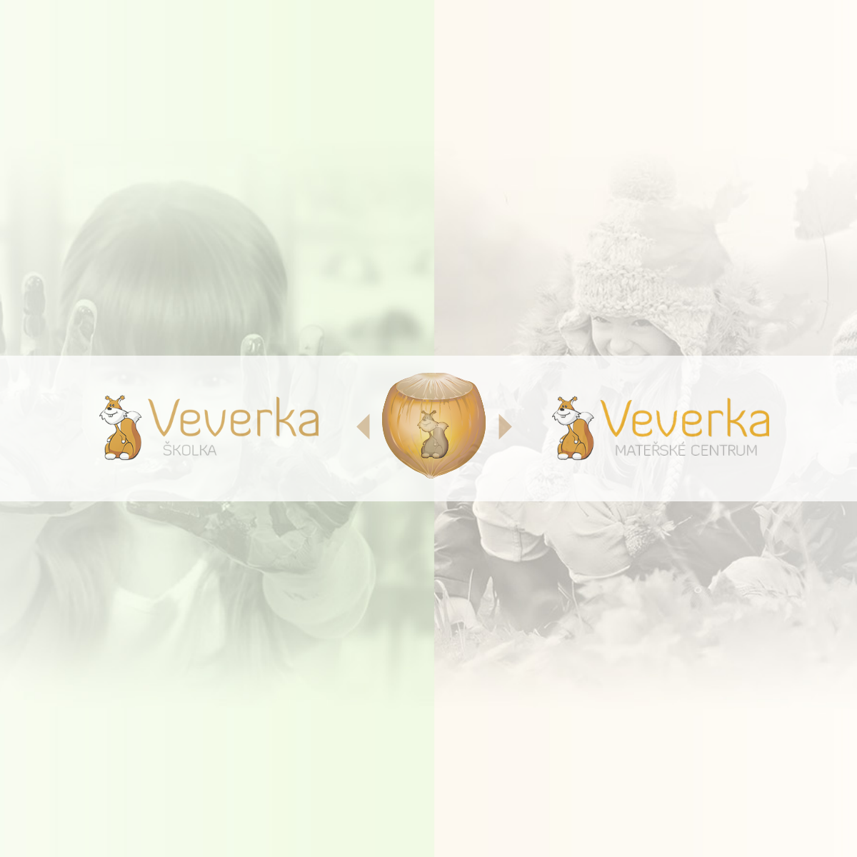 Sdružení dětí Veverka, s.r.o. website