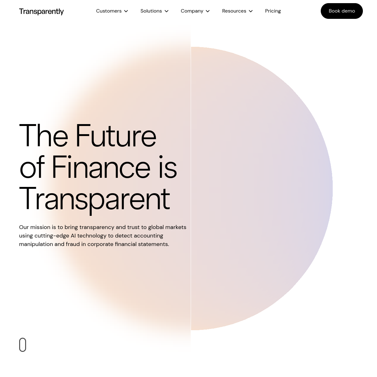 Transparently.AI screenshot 2