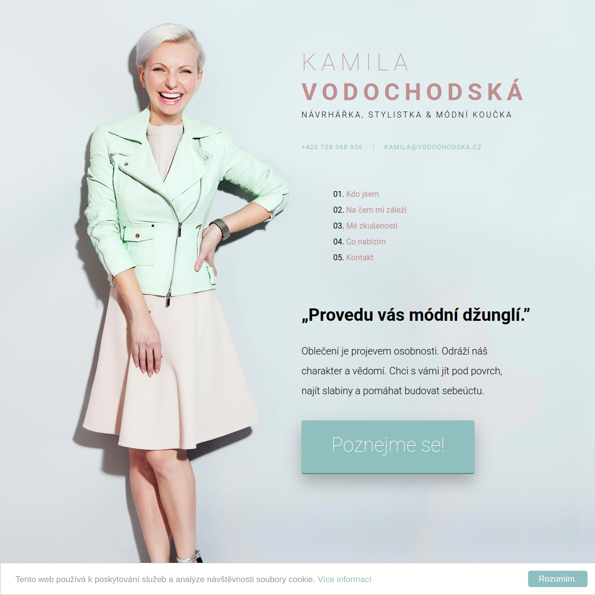 Kamila Vodochodská website