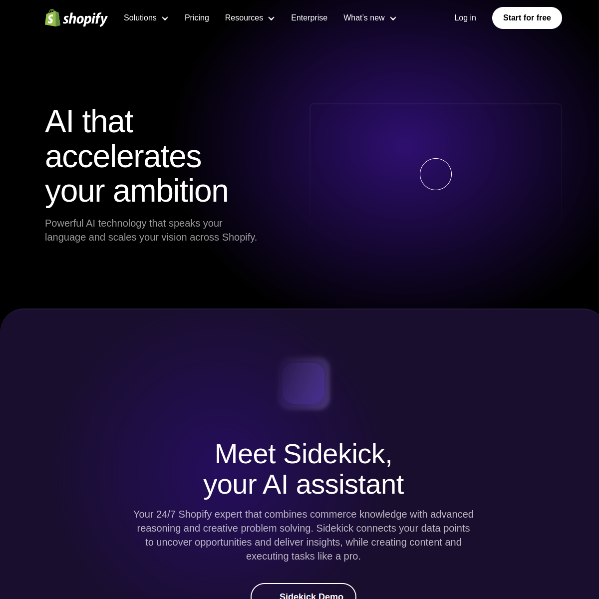 Shopify Magic screenshot 2