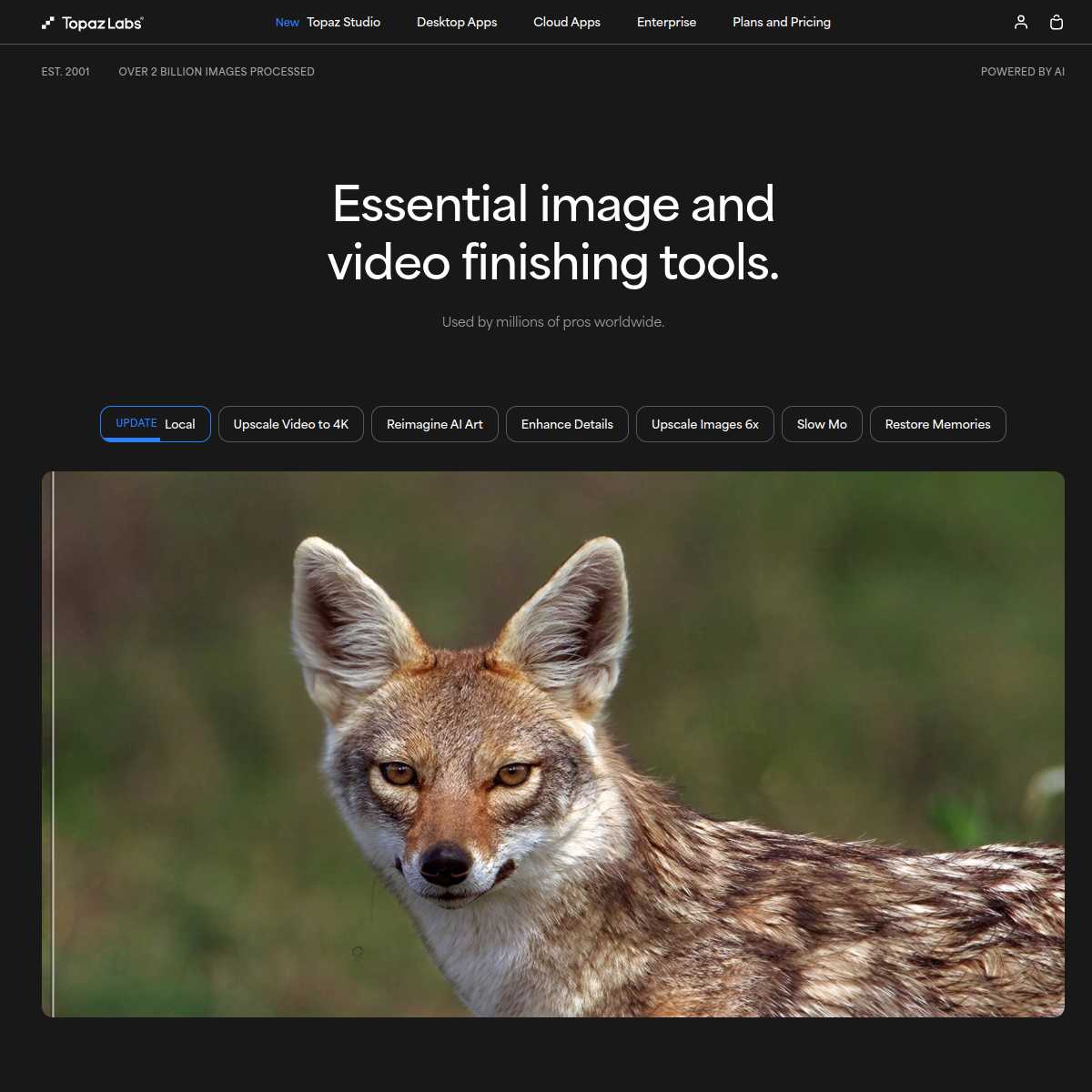 Topaz Labs screenshot 2