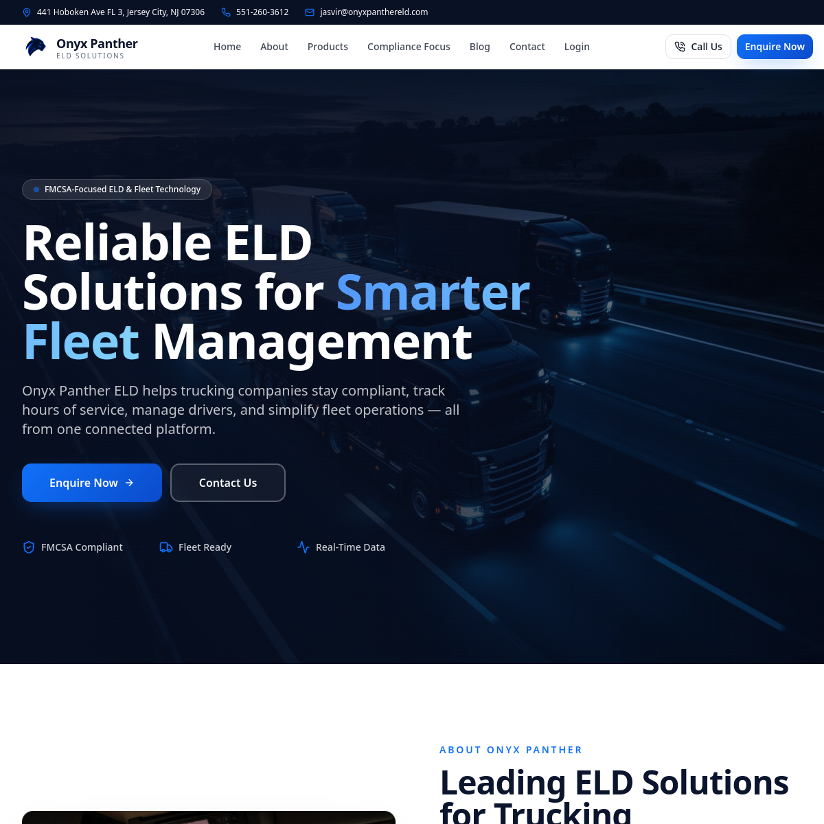 Onyx Panther ELD website preview