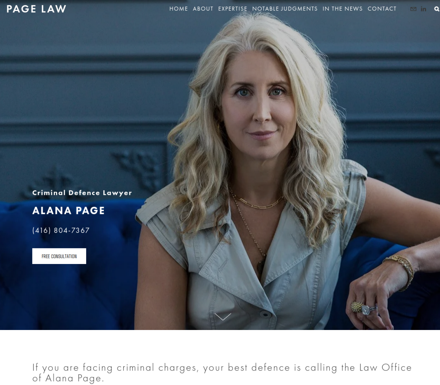 Page Law website