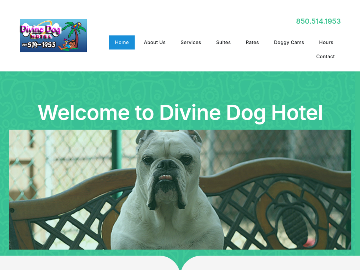 Divine Dog Hotel homepage