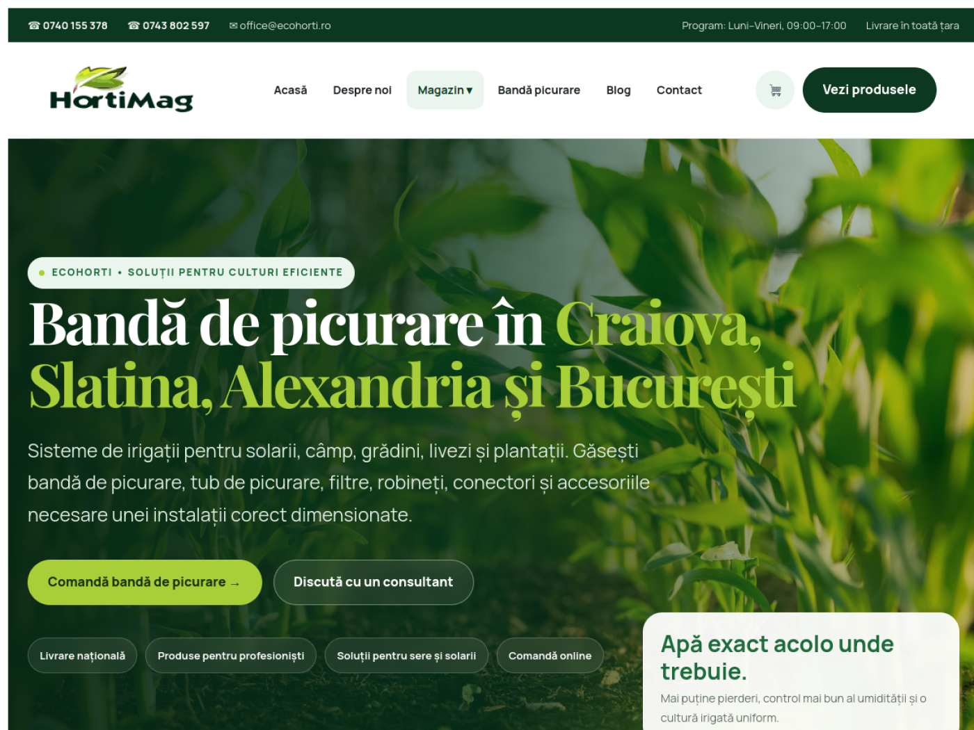 Preview site Ecohorti