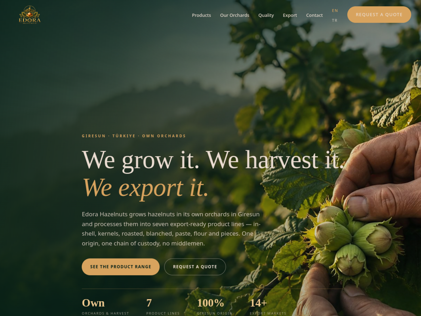 Edora Hazelnuts — ihracat sitesi