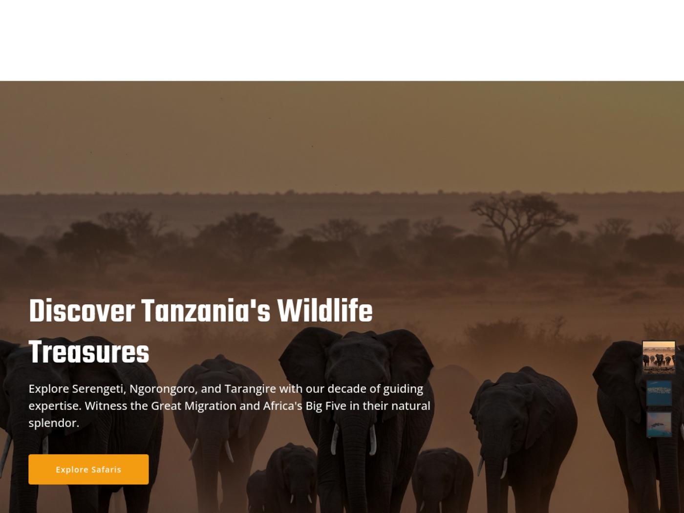 Focus Mission Safaris website preview