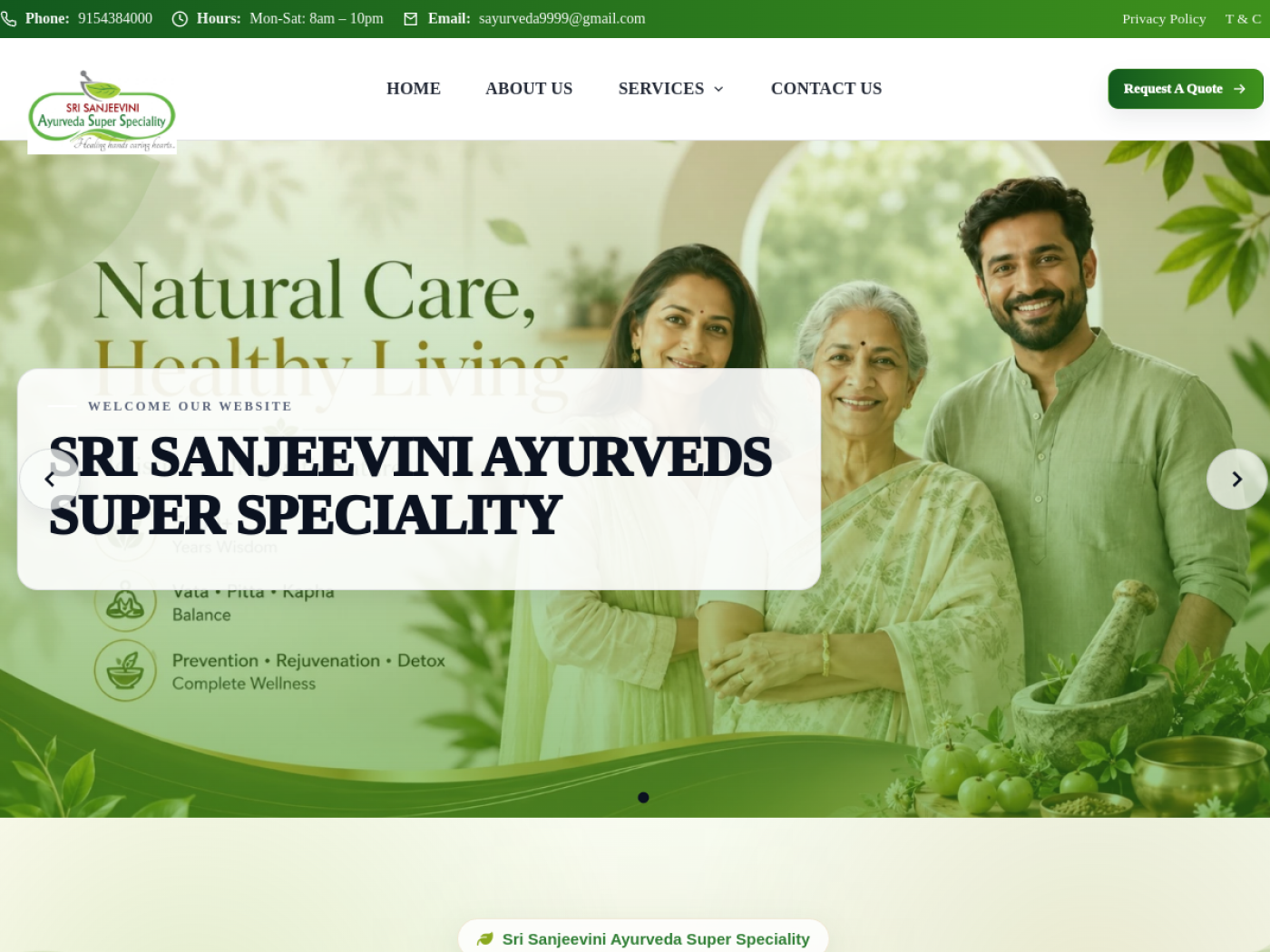 Sanjeevini Ayurveda website preview