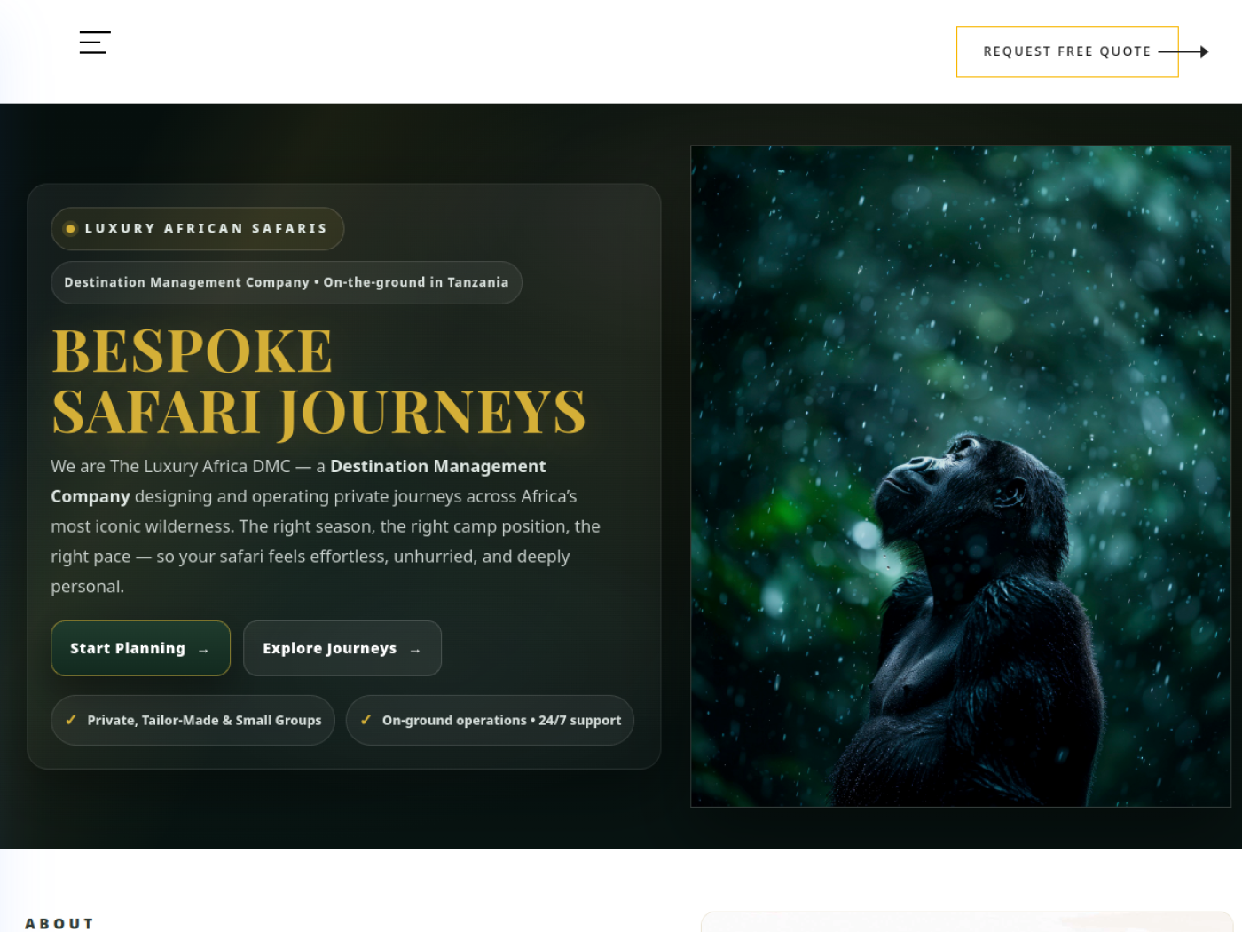 The Luxury Africa DMC website preview