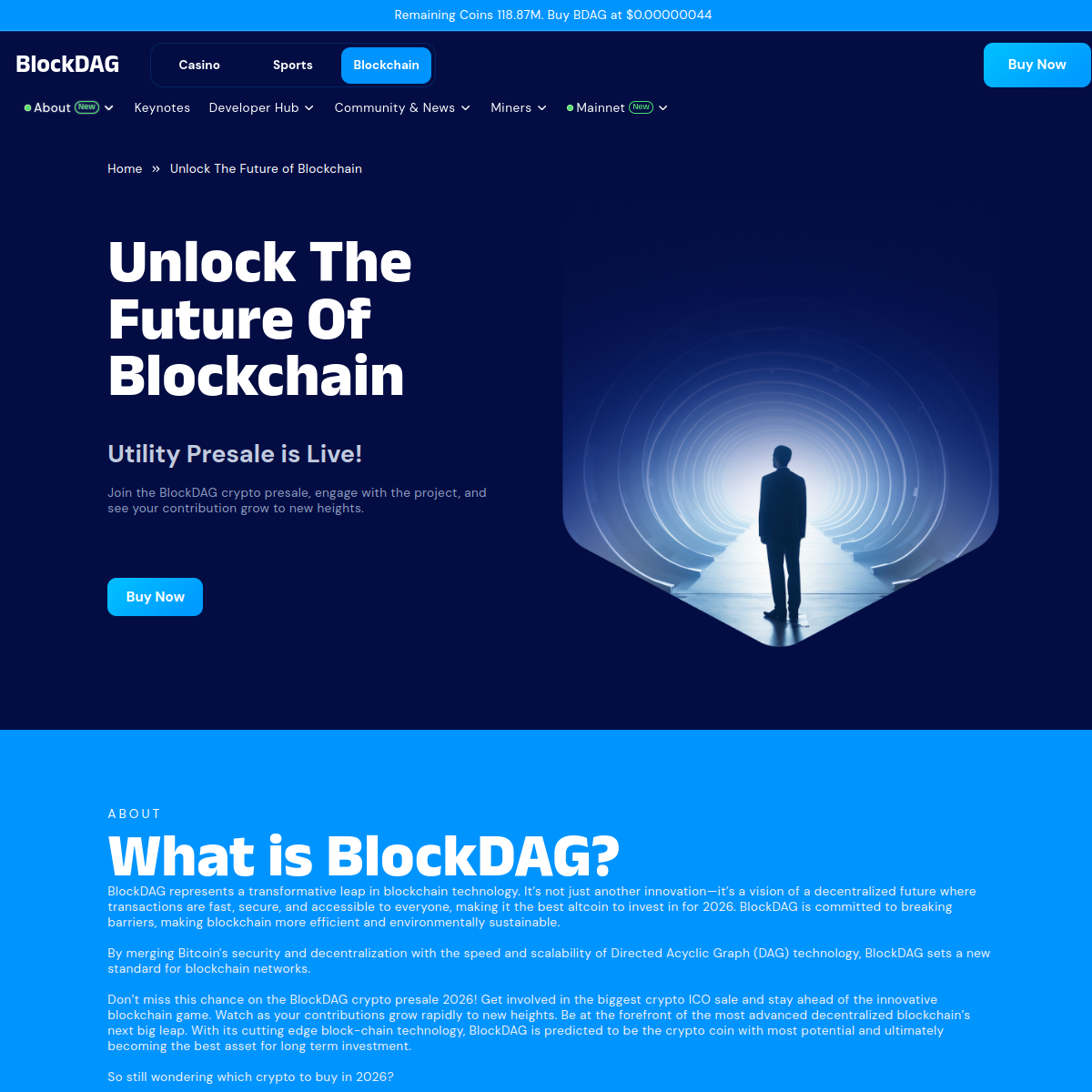 BlockDAG about us page capture showing team and company information