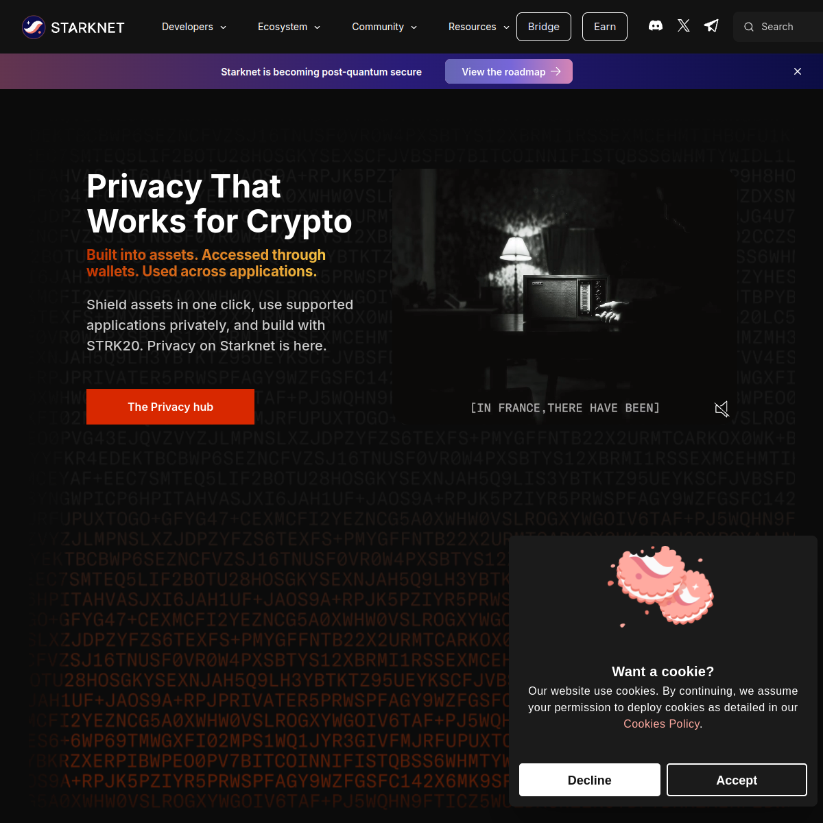 Editorial placeholder for a Starknet ecosystem comparison page