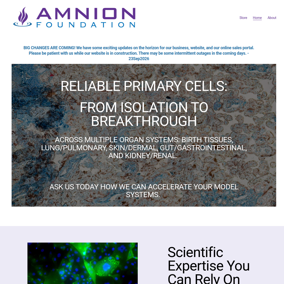 Screenshot of the Amnion Foundation website