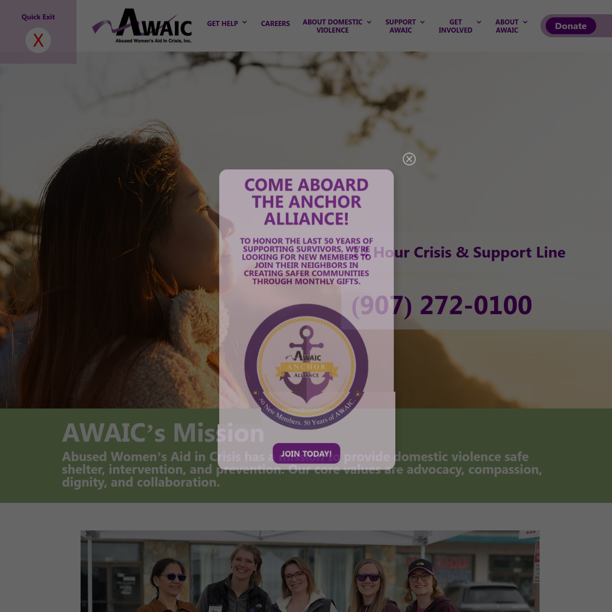 Screenshot of the AWAIC website