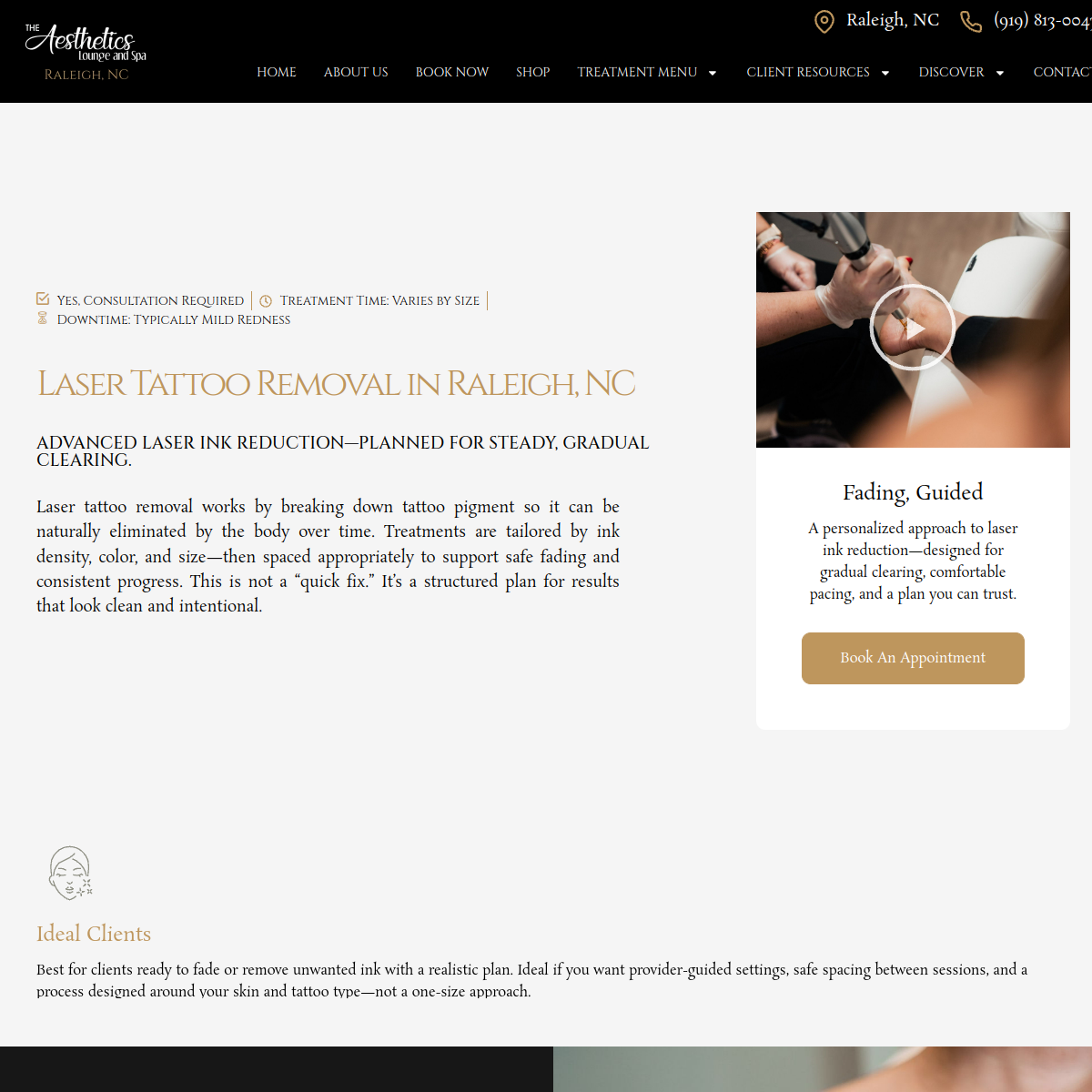 Screenshot of the The Aesthetics Lounge and Spa Raleigh website