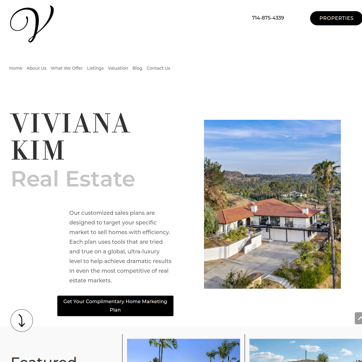 Screenshot of the Viviana Kim Real Estate website
