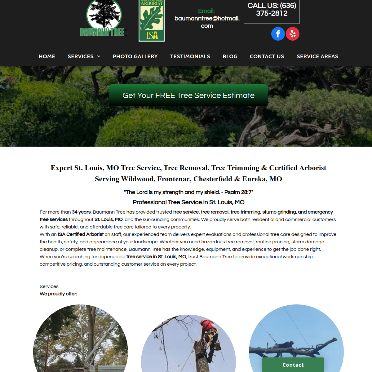 Screenshot of the Baumann Tree website