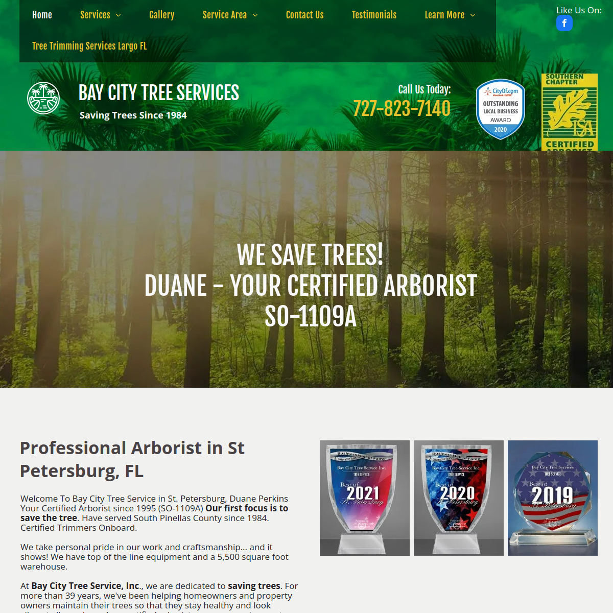 Screenshot of the Bay City Tree Services website