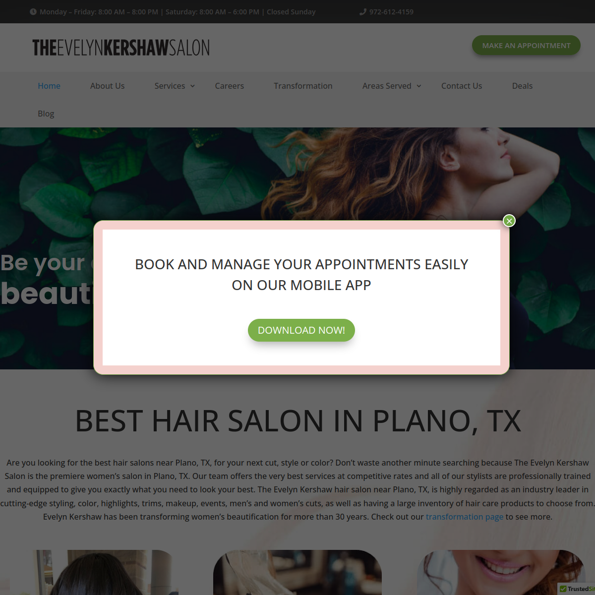 Screenshot of the The Evelyn Kershaw Salon website