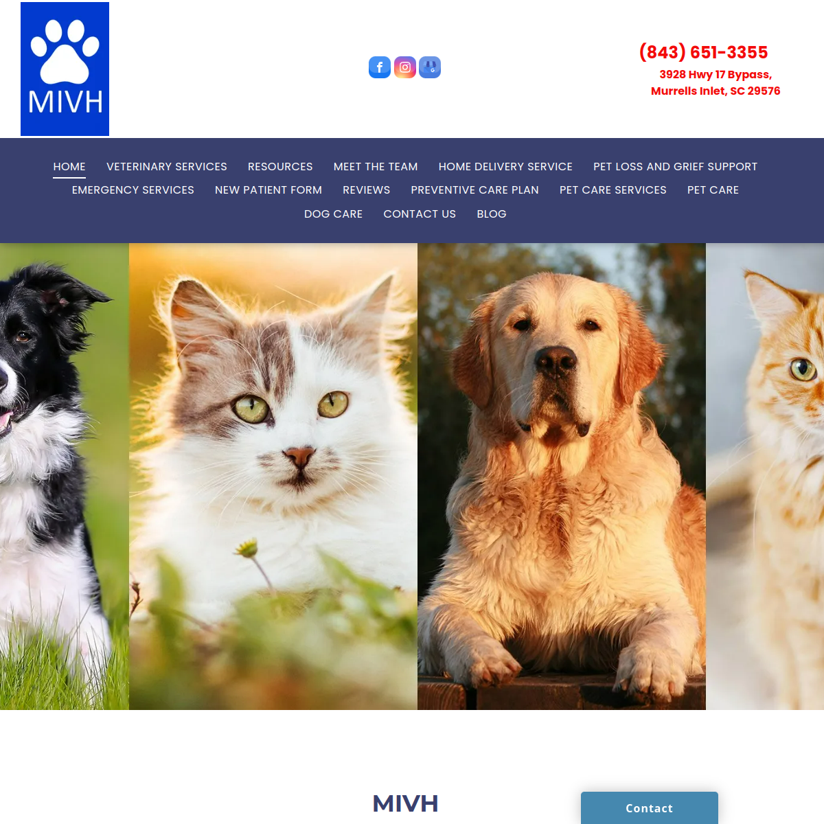 Screenshot of the Murrells Inlet Veterinary Hospital website