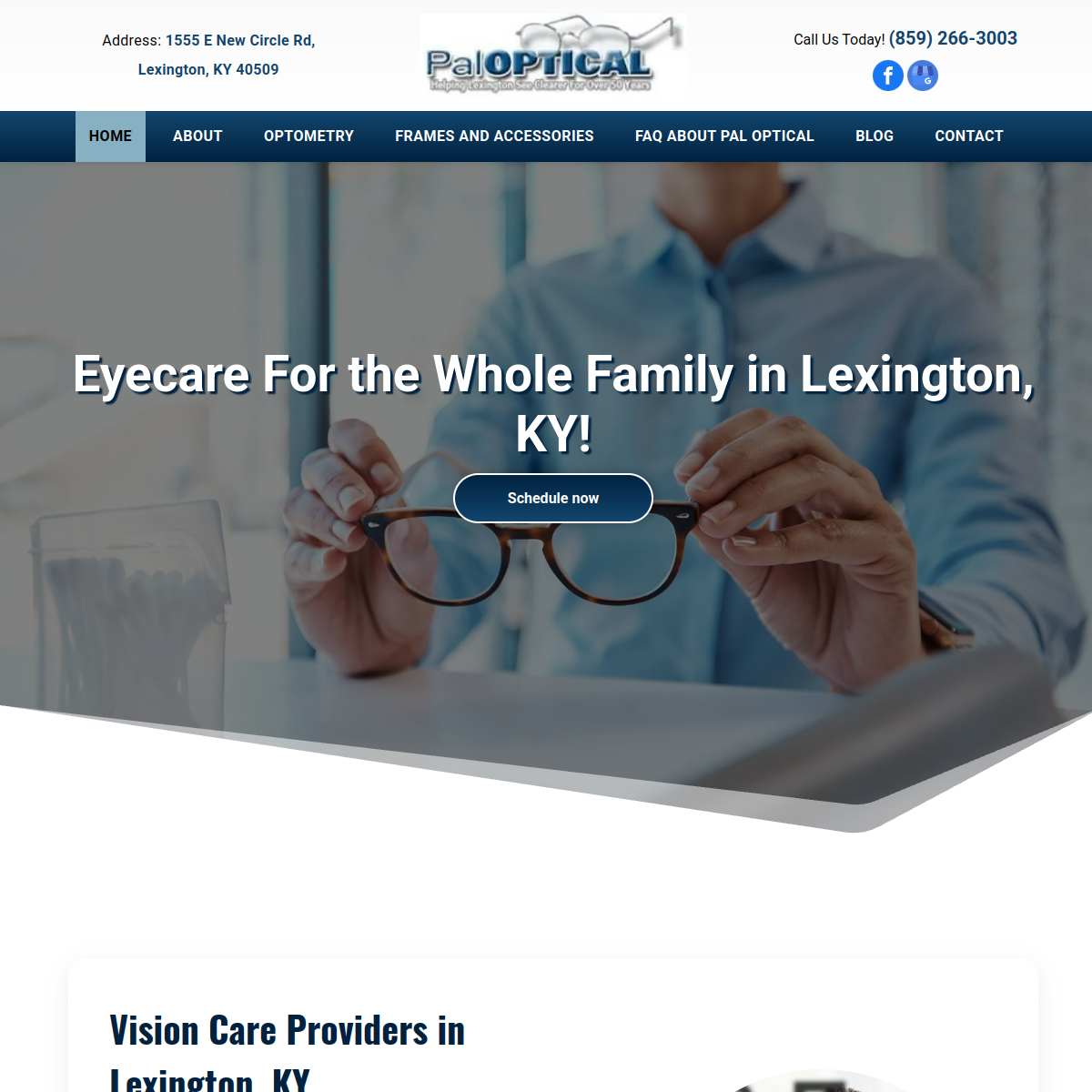 Screenshot of the Pal Optical website