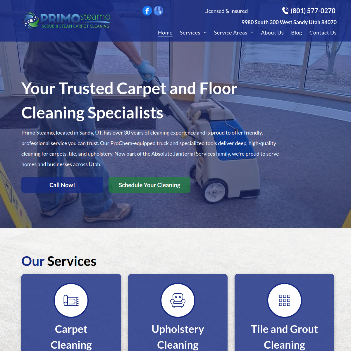 Screenshot of the Primo Steamo website