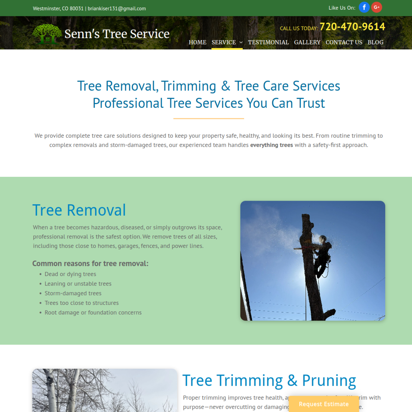 Screenshot of the Senn's Tree Service website