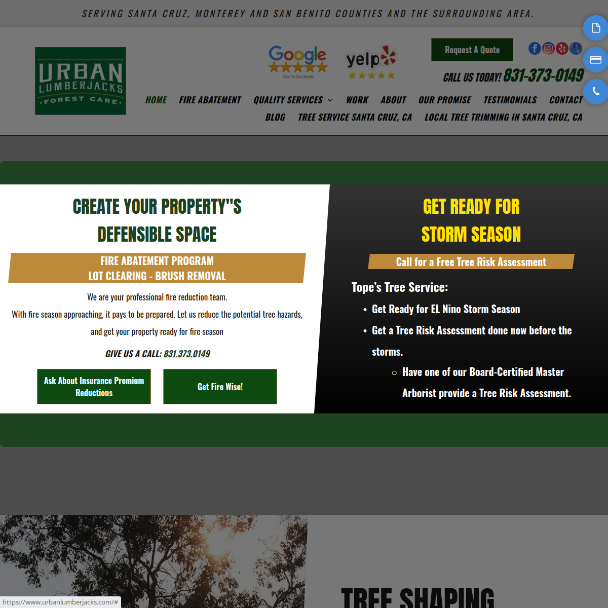 Screenshot of the Urban Lumberjacks website