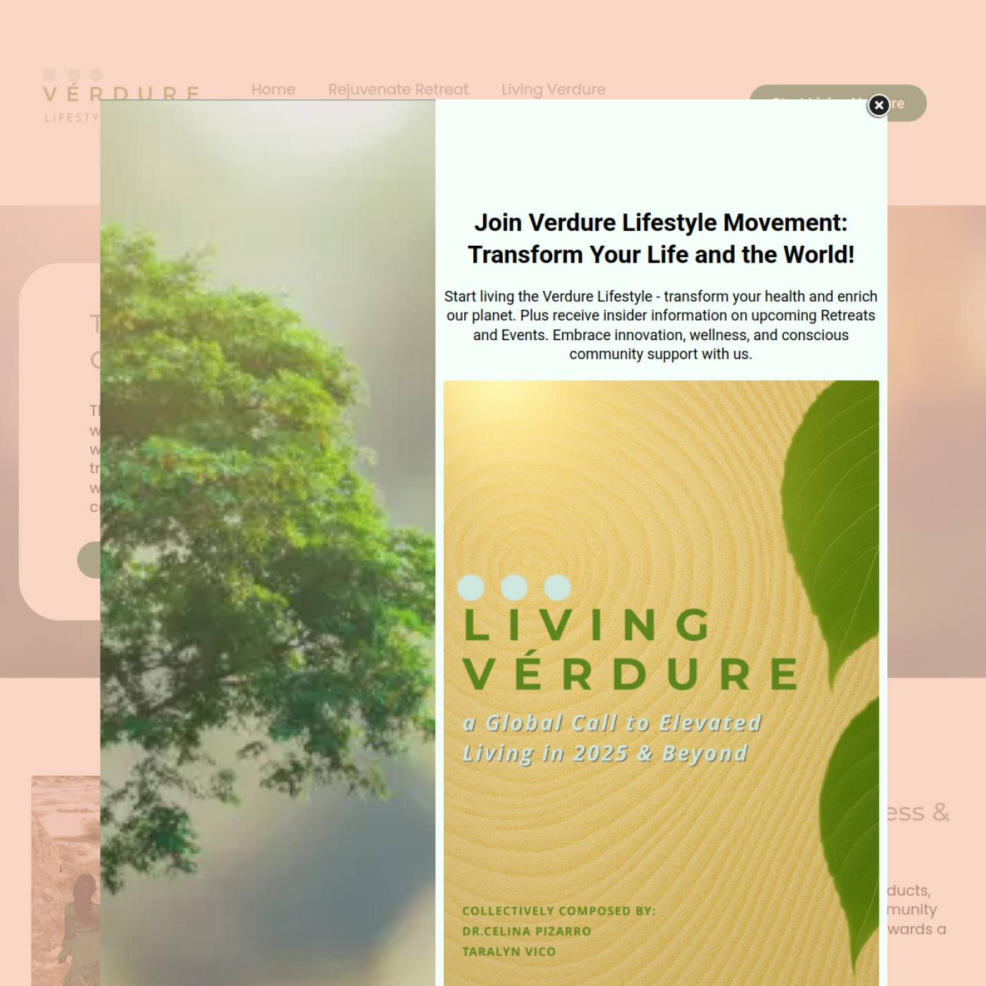 Verdure Lifestyle website screenshot