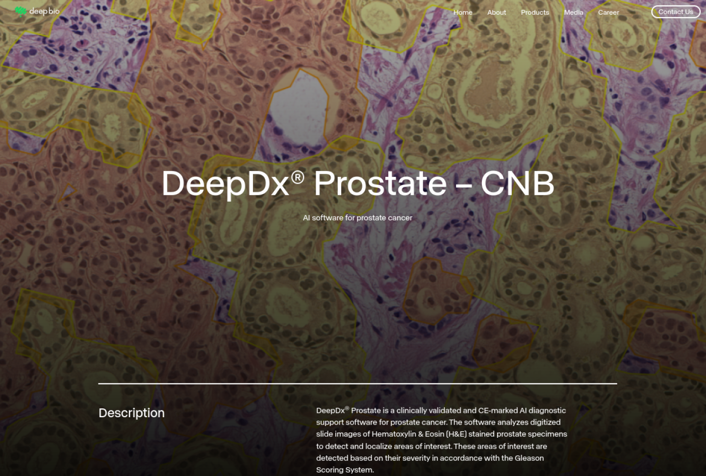Screenshot of the official Deep Bio DeepDx Prostate product page