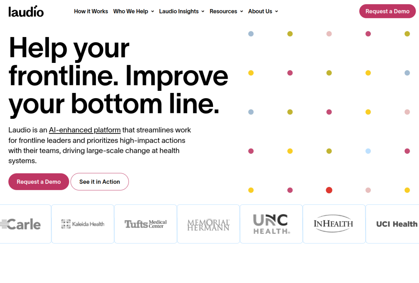 Screenshot of the official Laudio product page