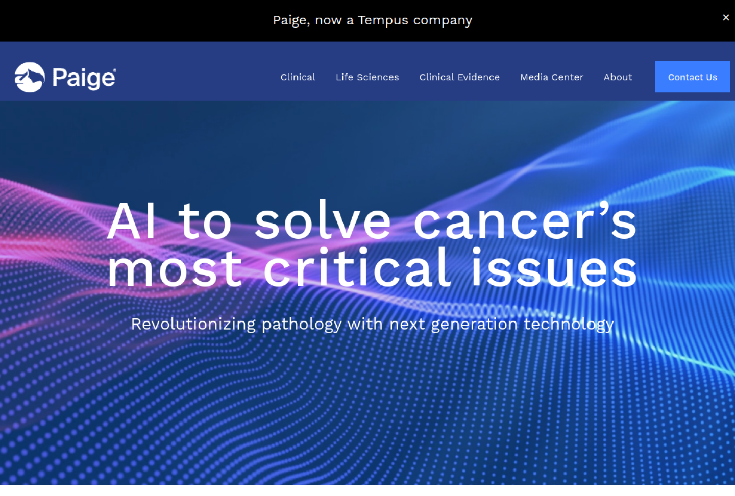 Screenshot of the official Paige product page