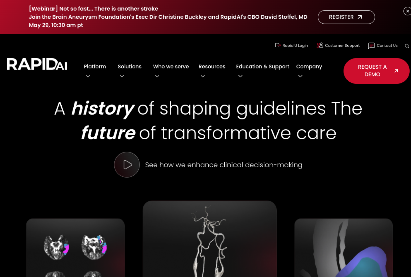 Screenshot of the official RapidAI product page