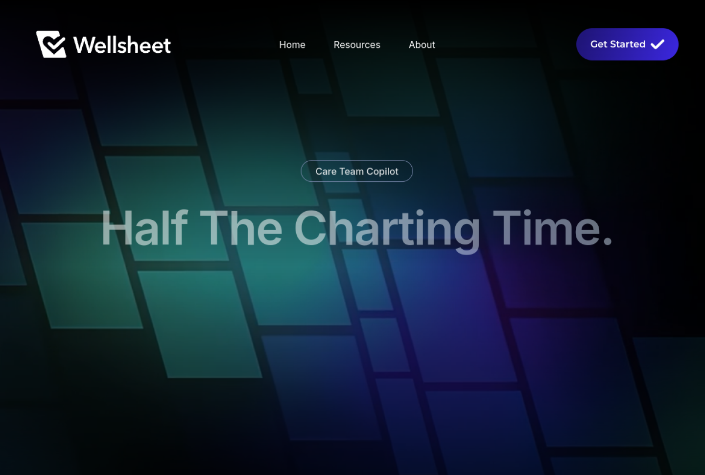 Screenshot of the official Wellsheet Care Team Copilot product page