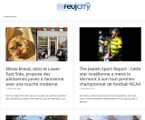 vignette du site