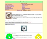 vignette du site