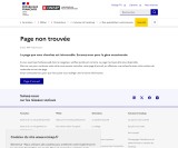 vignette du site