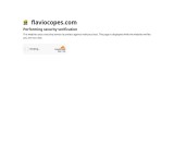 vignette du site