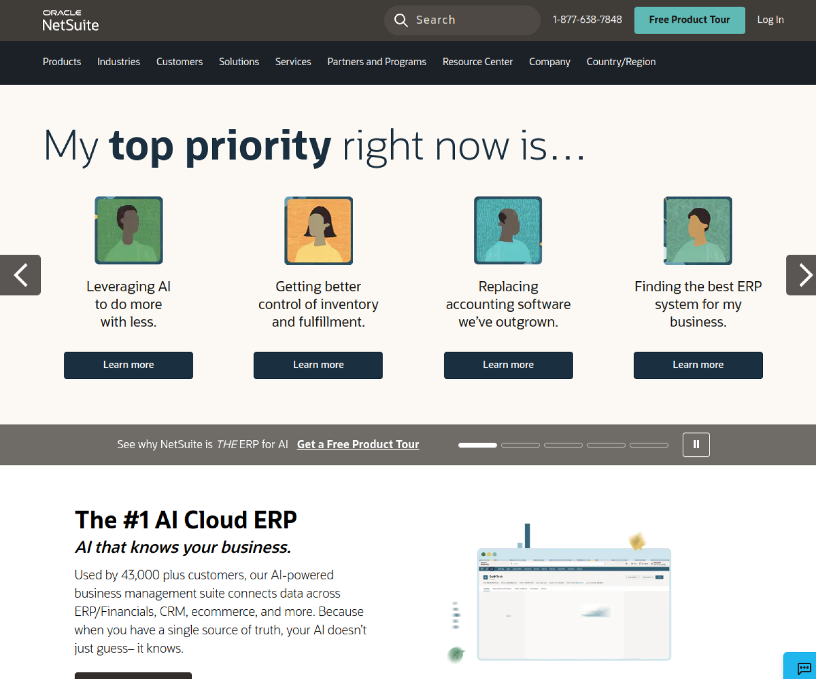 NetSuite website preview