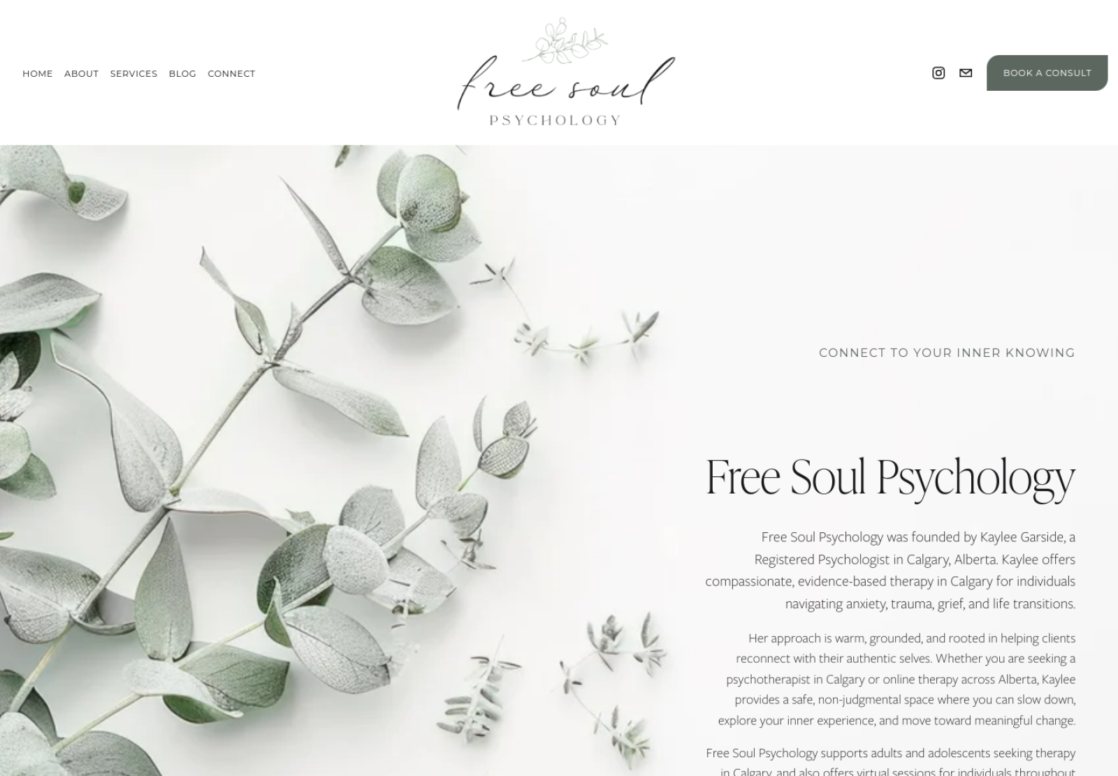 Free Soul Psychology — live website screenshot